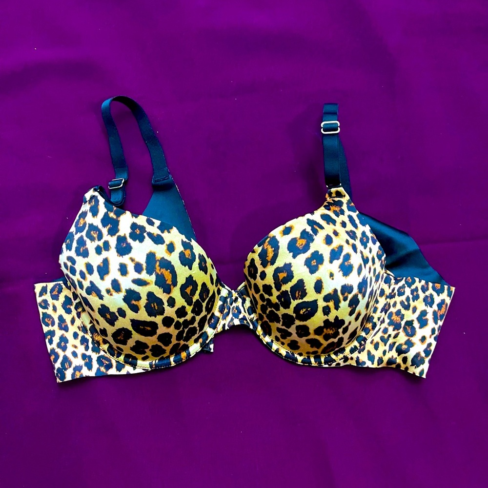 Bra panty 36D